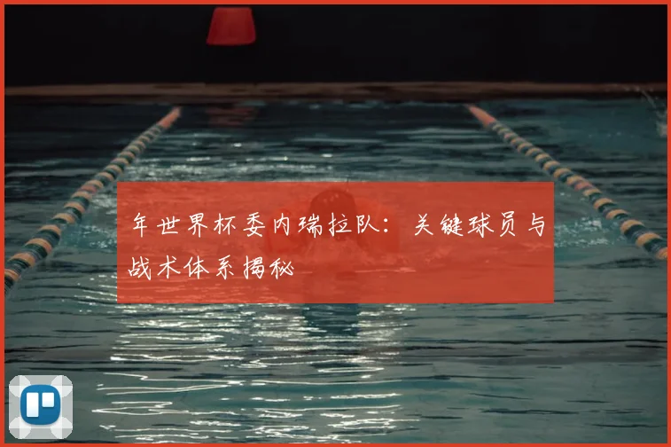 年世界杯委内瑞拉队：关键球员与战术体系揭秘